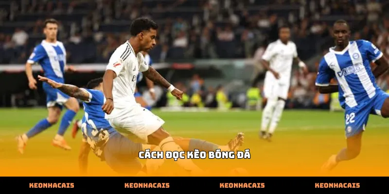 Hướng dẫn phân tích chi tiết cách đọc kèo bóng đá trực tuyến hiệu quả