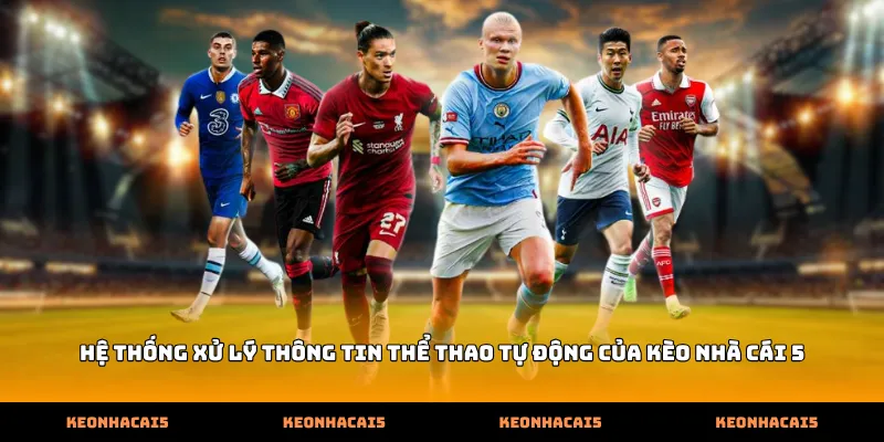 Hệ thống xử lý thông tin thể thao tự động của Kèo Nhà Cái 5