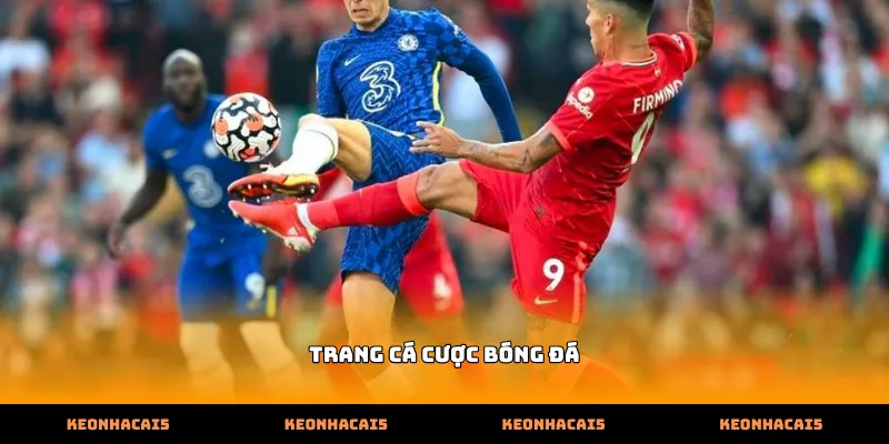 Thao tác chuyên nghiệp trên Trang cá cược bóng đá hiện đại