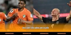 Hướng dẫn phân tích dữ liệu biến động tìm cách bắt kèo bóng đá chuẩn