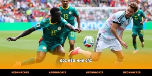 Cách thực hiện soi kèo nhà cái qua biến động tỷ lệ trực tuyến